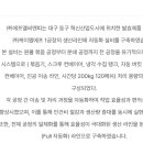 엔피라인