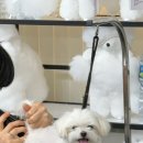 송파평생직업교육학원