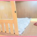 바우밸리 이미지