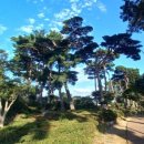 갯마을민박 이미지