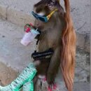 퀸바