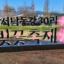 강서낙동강30리 벗꽃축제 이미지
