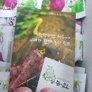 향성농원 | 양배추사과즙 영양가득듬뿍 챙겨요!