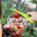 삼남매농장 | 실내가볼만한곳 동물체험과 딸기체험농장 포레스트벨 방문후기