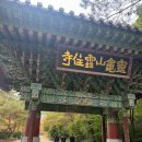 운주사 | 전남 화순 가볼만한 곳 운주사 단풍구경 후기