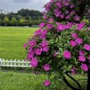 다이소 수내2호점 | 오늘은 기분 안좋은날인가 했다가, 귀요미보고 기분 좋아진날!(+나만 알고픈 서현맛집 공개!)