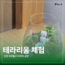 인천백학초등학교 | [공방] 인천 아쿠아공방 테라리움 원데이 클래스 / 테라리움 / 수족관 / 물 생활 /인천 이색 데이트 /원...