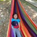 다목초병설유치원 이미지