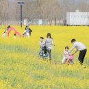 꽃물 공원 이미지