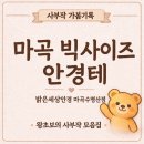 마곡 발산 안경점 밝은세상안경｜템플 160 까르뱅 빅사이즈 안경 맞춘 후기