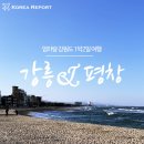 김갑수농장 | 겨울 강원도 여행 :: 강릉 &amp; 평창 1박2일 힐링여행♡