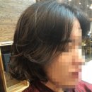 수진헤어 - 달성군 테크노중앙대로6길 4 | 수진헤어