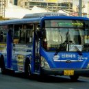 신화여객 이미지