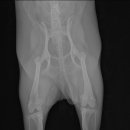 마송 동물병원 이미지