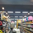 야옹아 멍멍해봐 이천점 이미지