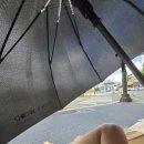 산본천로 224-1 버스정류소 | [경북/경주] 24시간 웨이팅하고 삼신할배 만난 후기 - 대추밭백한의원