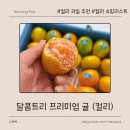 달콤달달 | 컬리 과일 선물 추천 - 달콤트리 귤 달달함이 살아있는 프리미엄 감귤 후기