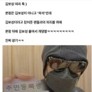 고양이나라 이미지