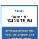 가나여행주