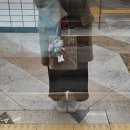 삼보(아)- 현대(아) | 박물관(2n)은 살아있다🪷