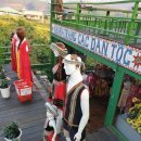 기우농장 이미지