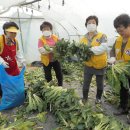 천현농장 이미지