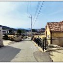 대아초등학교병설유치원 이미지