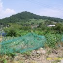 장산농장 이미지