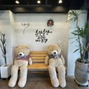 제주혜윰 이미지