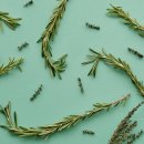 로즈마리 정원 이미지