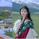 송이만찬 이미지