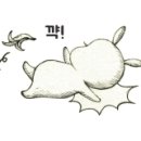 커피스튜디오엘 이미지