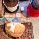 지산목련시장(지산종합시장) | 겨울에는 속초바다가 국룰이세요!^^_❤️아셨됴???