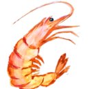 놀부보쌈과 순두부 이미지