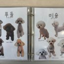 샤샤살롱 지제동삭점 이미지