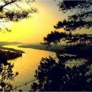 키다리안경 이미지