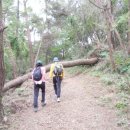아라메길 (천년미소길) 이미지