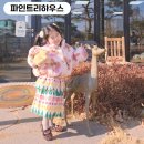 마루아라 하우스 이미지