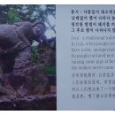 금능