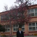 고성초교 앞 이미지