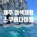 노틸러스다이브제주 | 제주 스노우쿨링과 스쿠버다이빙 초보도 가능한 이색체험