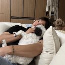 씨유 의정신촌본점 | 시험끝난대학생은망나니와다름없어