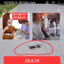 보성가방