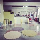 도도네 개집 이미지