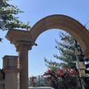 장일샐프타운 이미지