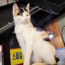 오이도옥귀도횟집