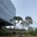 삼천포사우나 - 1710 | KB손해보험 인재니움사천연수원 4인실 객실 사우나 산책 후기