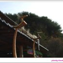 2010년 11월 13일 청학동~삼신봉~쌍계사 산행기 이미지