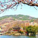 늘푸른LAB센터 이미지