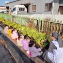 동명어린이집 이미지